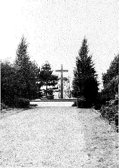 Neuer Friedhof 1965