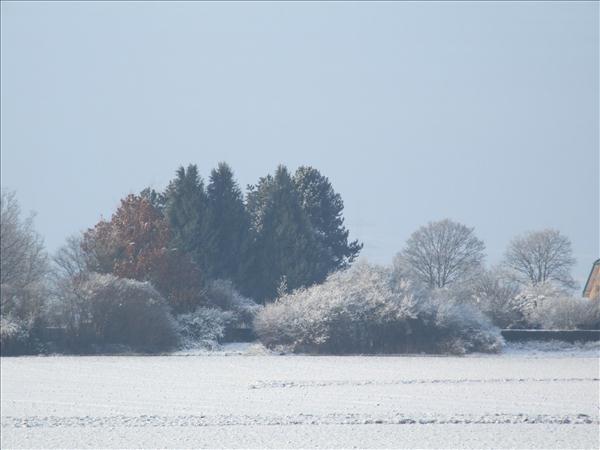 EchtzerWinter2010Januar 026