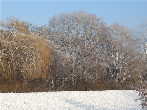 EchtzerWinter2010Januar 029