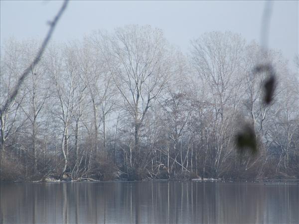 EchtzerWinter2010Januar 031