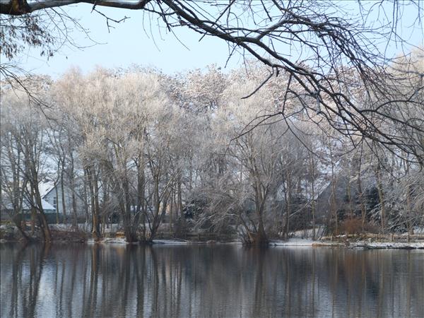 EchtzerWinter2010Januar 035