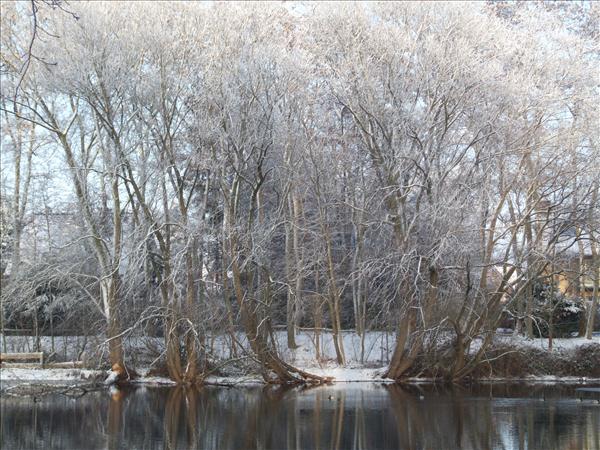 EchtzerWinter2010Januar 039