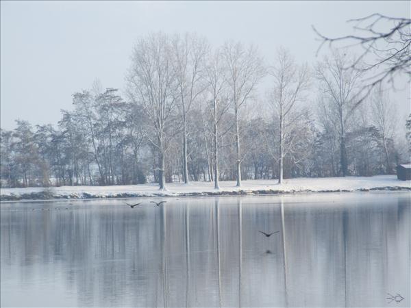 EchtzerWinter2010Januar 040