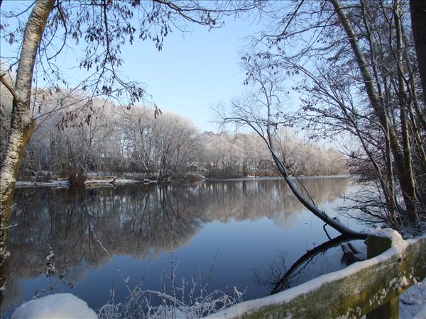 EchtzerWinter2010Januar 043