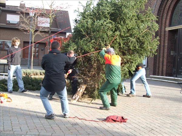 HGV-Weihnachtsbaum2011 014