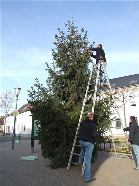 HGV-Weihnachtsbaum2011 028