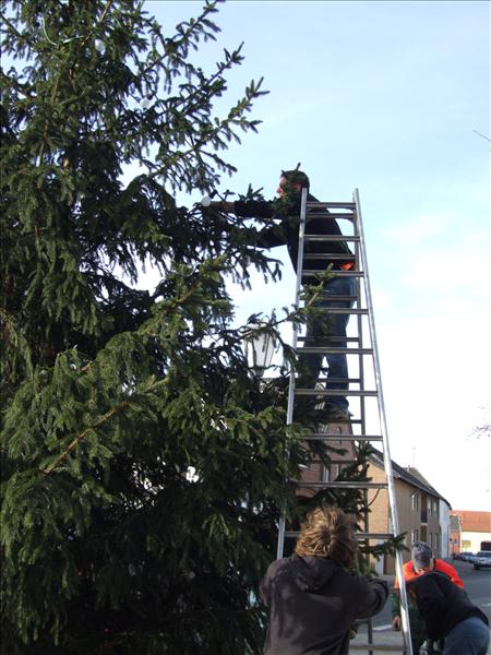 HGV-Weihnachtsbaum2011 029
