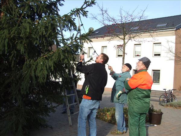HGV-Weihnachtsbaum2011 031