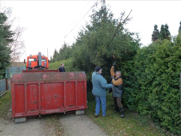 HGV-Weihnachtsbaum2011 043