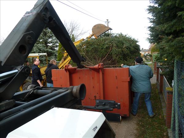 HGV-Weihnachtsbaum2011 044