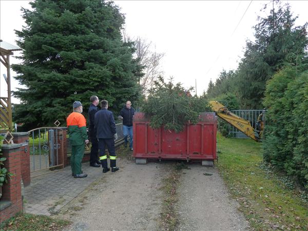 HGV-Weihnachtsbaum2011 047