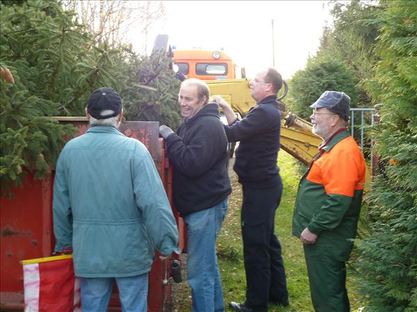 HGV-Weihnachtsbaum2011 051