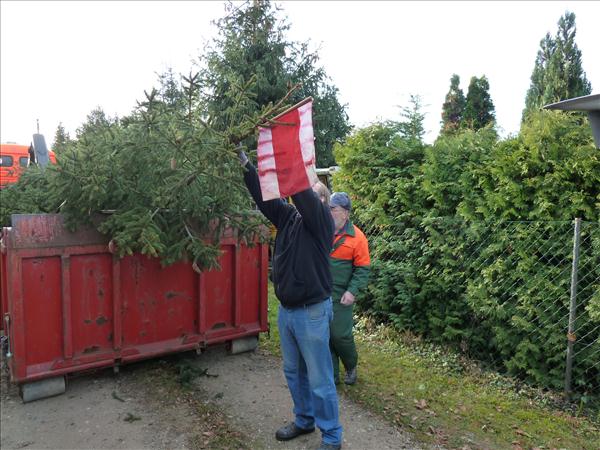 HGV-Weihnachtsbaum2011 052