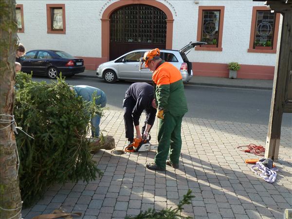 HGV-Weihnachtsbaum2011 061