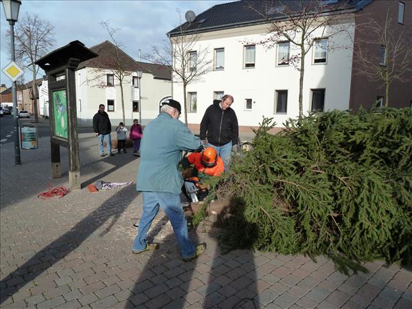 HGV-Weihnachtsbaum2011 064