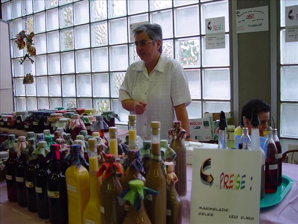 HobbyKuenstlerMarkt2007 037