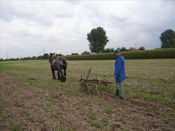 EchtzErleben2008 002