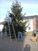 HGV-Weihnachtsbaum2011 030