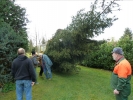 HGV-Weihnachtsbaum2011 038