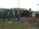 HGV-Weihnachtsbaum2011 040