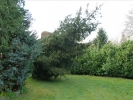 HGV-Weihnachtsbaum2011 041