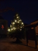 WeihnachtsbaumEchtz 083