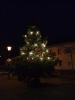 WeihnachtsbaumEchtz 085