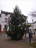 Weihnachtsbaum2014 022