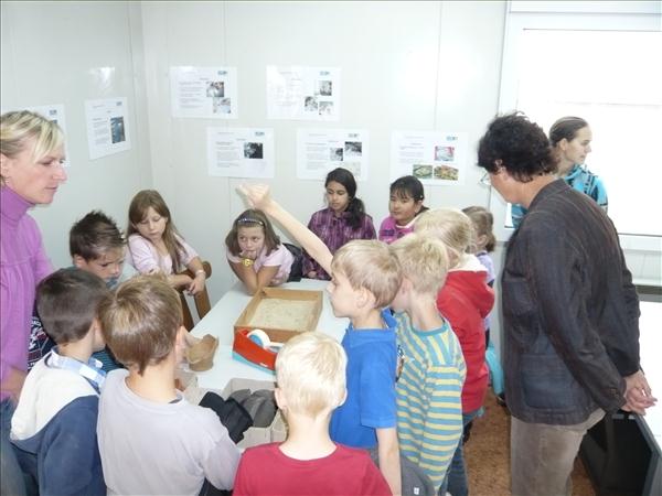 ProjektwocheKGS 058