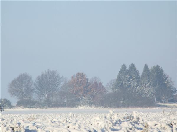 Winter2012 014