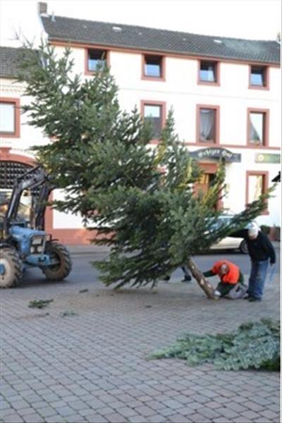 Weihnachtsbaum2016 014