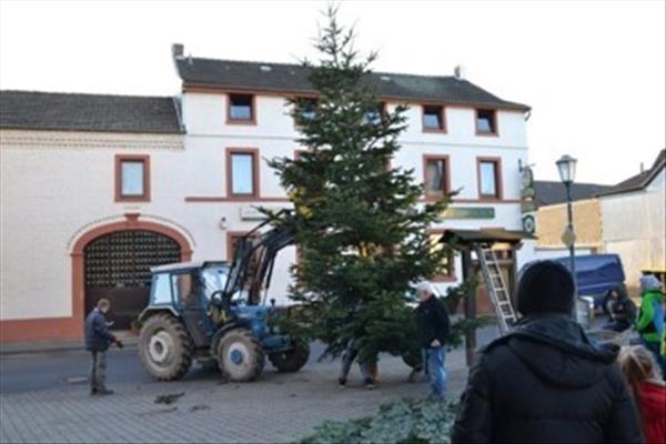 Weihnachtsbaum2016 015