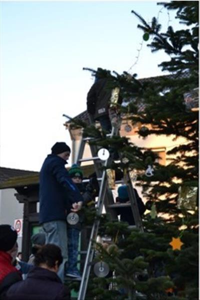 Weihnachtsbaum2016 029