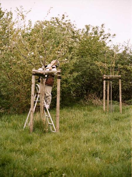 Obstbaumpflege2002 006